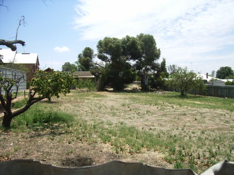 48  Lascelles St, Hopetoun VIC 3396