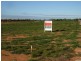 Lot 46 Summer Drive, Buronga NSW 2739