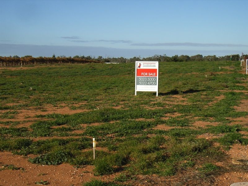 Lot 46 Summer Drive, Buronga NSW 2739