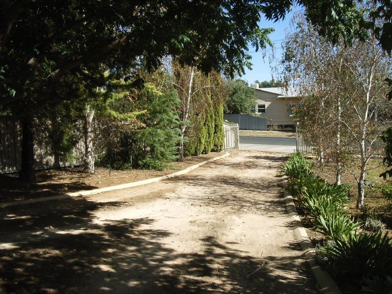 15 Leonora Street , Robinvale VIC 3549