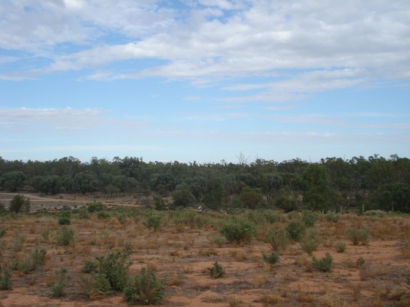 Lot 56  Riverbend Estate, Gol Gol NSW 2738