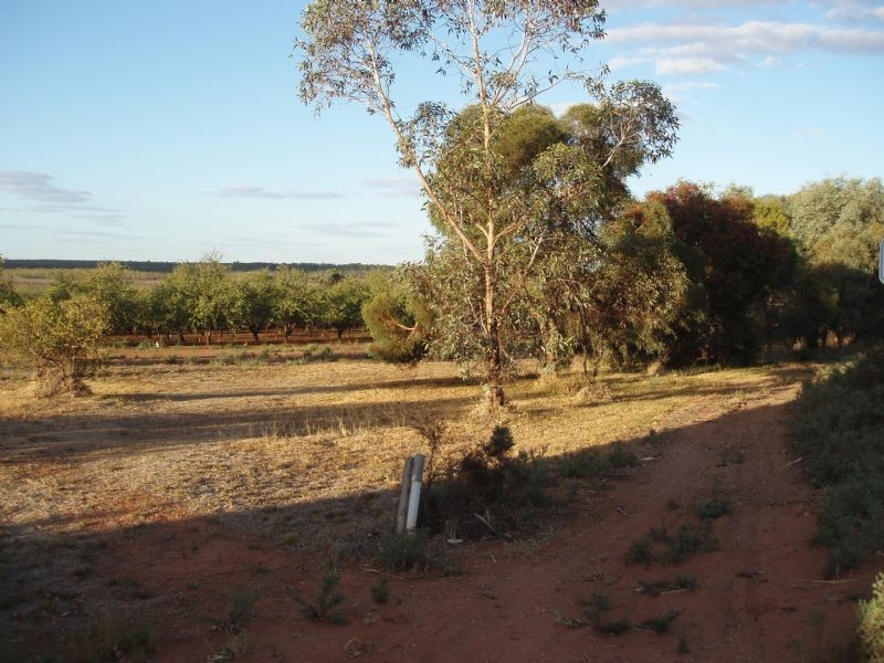 Lot 1  Third Street , Merbein VIC 3505