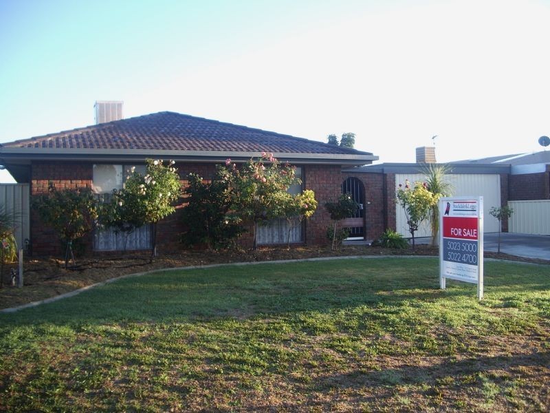 17 Etherington Drive, Mildura VIC 3500