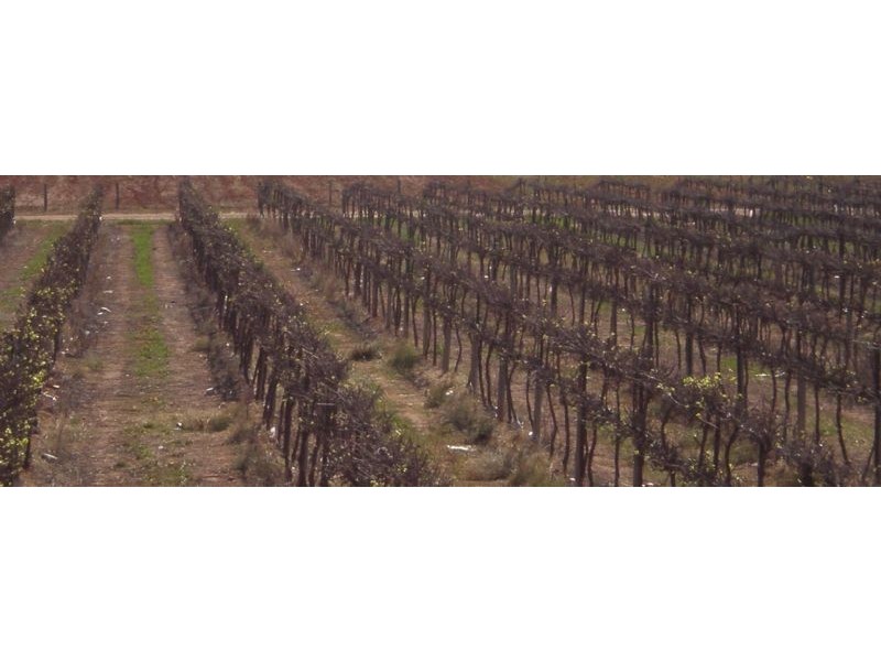 0 Honour Avenue, Merbein VIC 3505