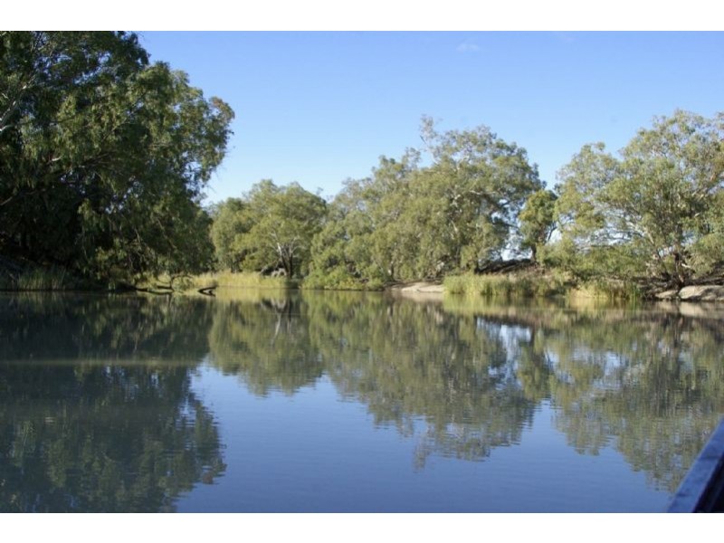 Pooncarie Rd Tapio River Front, Wentworth NSW 2648