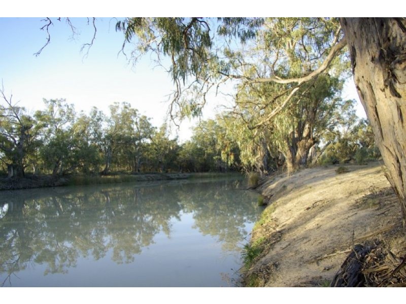 Pooncarie Rd Tapio River Front, Wentworth NSW 2648