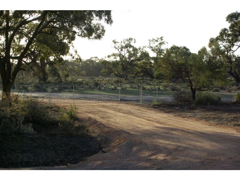 Pooncarie Rd Tapio River Front, Wentworth NSW 2648