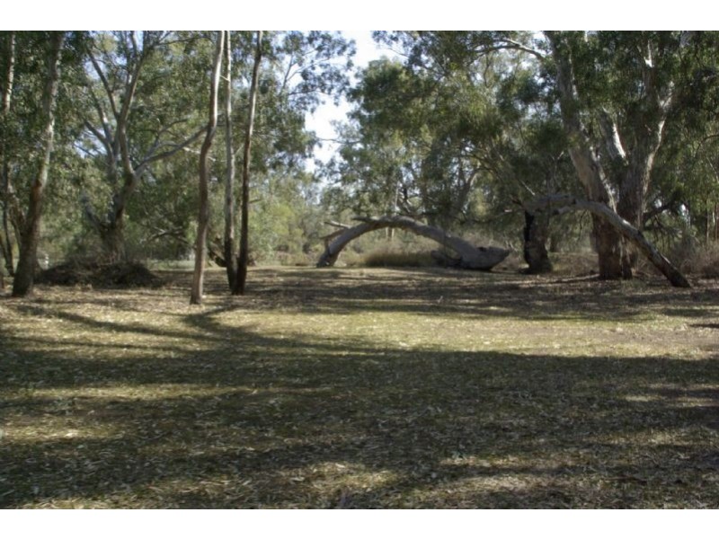 Pooncarie Rd Tapio River Front, Wentworth NSW 2648