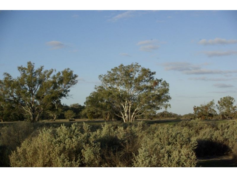 Pooncarie Rd Tapio River Front, Wentworth NSW 2648