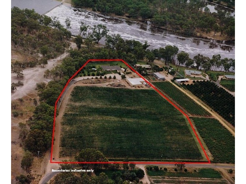 428 West Road, Buronga NSW 2739