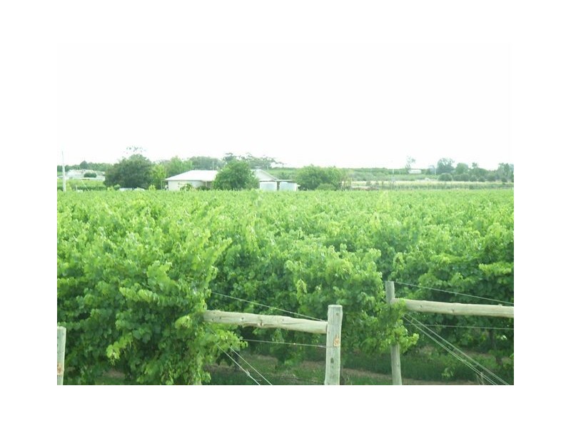 Lot 2  Euston Avenue, Irymple VIC 3498