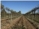 Lot 2  Euston Avenue, Irymple VIC 3498