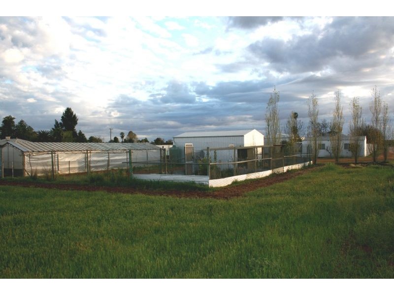 3050 Fifteenth Street, Irymple VIC 3498