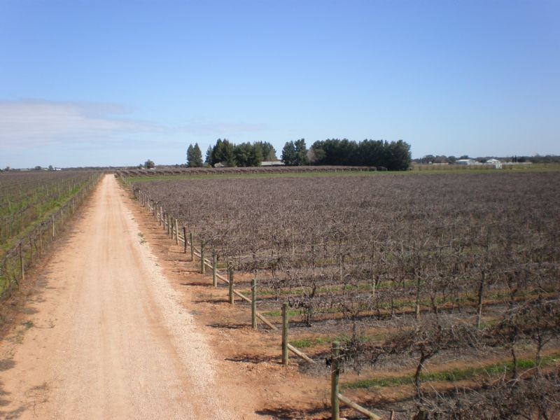 492 Paschendale Avenue, Merbein VIC 3505