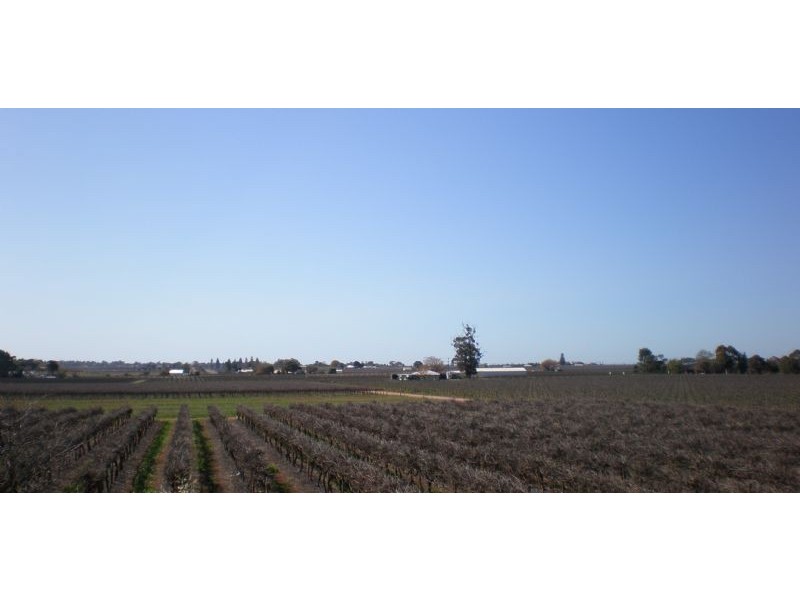 492 Paschendale Avenue, Merbein VIC 3505