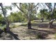 Lot 7 Tapio River front Pooncarie Road, Wentworth NSW 2648