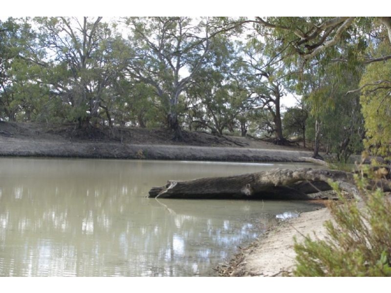 Lot 7 Tapio River front Pooncarie Road, Wentworth NSW 2648