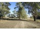 Lot 7 Tapio River front Pooncarie Road, Wentworth NSW 2648