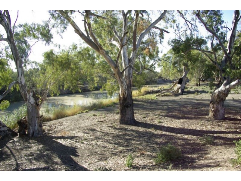 Lot 7 Tapio River front Pooncarie Road, Wentworth NSW 2648