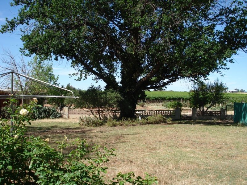 Block 355 River Road, Dareton NSW 2717