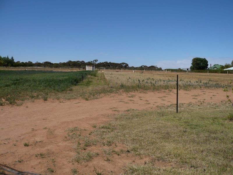 60 Norman Road, Merbein VIC 3505