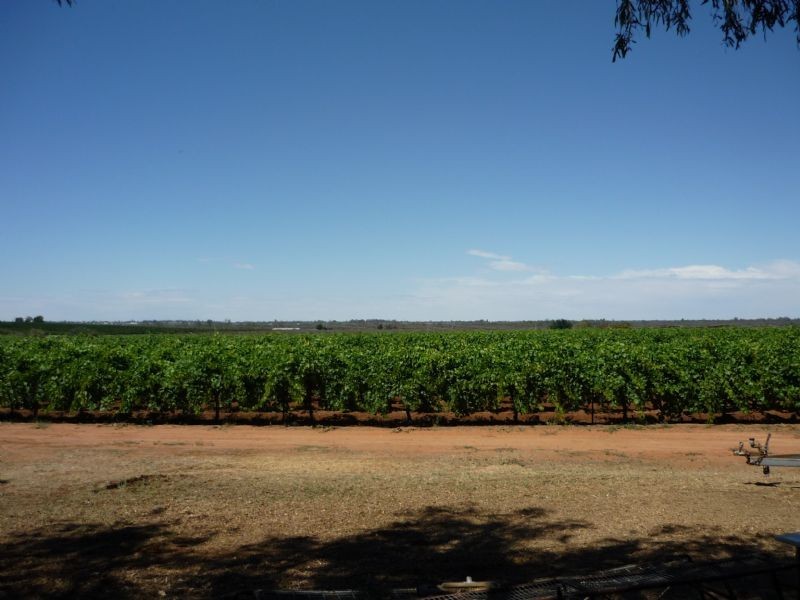 Block 348  Benarra Road, Dareton NSW 2717