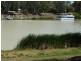 Lots 1 – 12 Wentworth Street, Wentworth NSW 2648