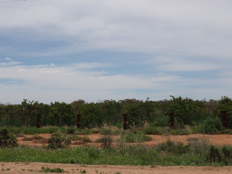 Lots 1 & 11 Sturt Highway, Merbein VIC 3505