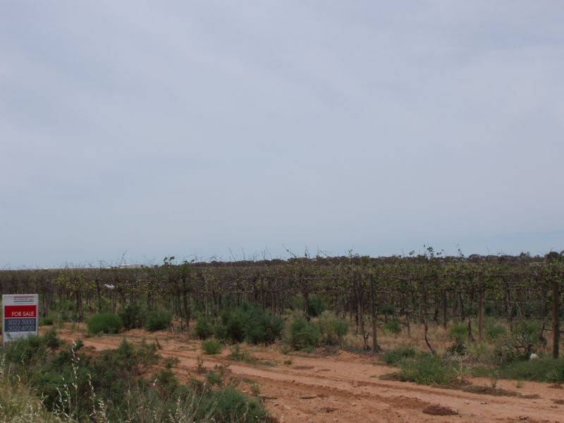 Lots 1 & 11 Sturt Highway, Merbein VIC 3505