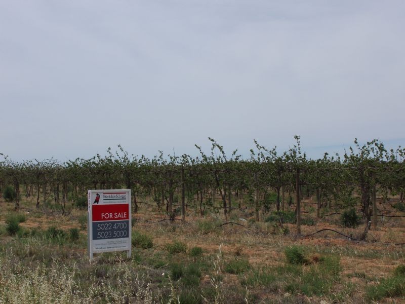 Lots 1 & 11 Sturt Highway, Merbein VIC 3505