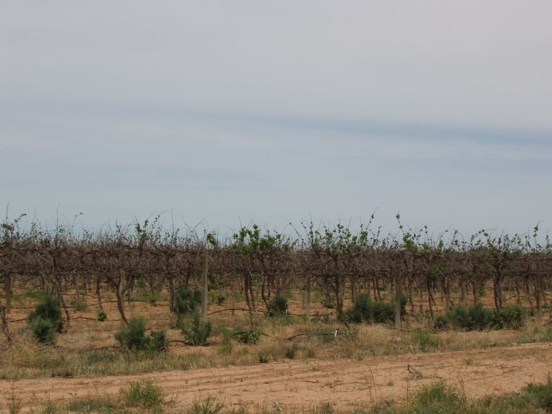 Lots 1 & 11 Sturt Highway, Merbein VIC 3505