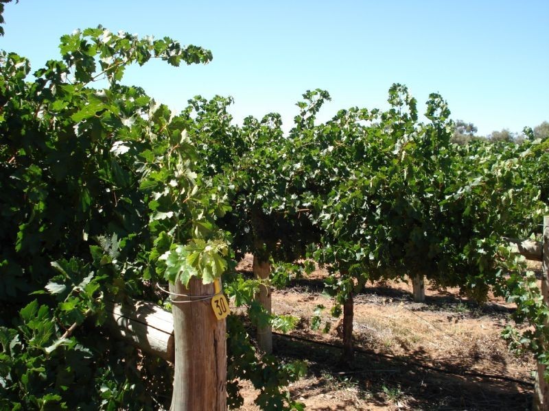 Lot 4 Potters Drive, Gol Gol NSW 2738