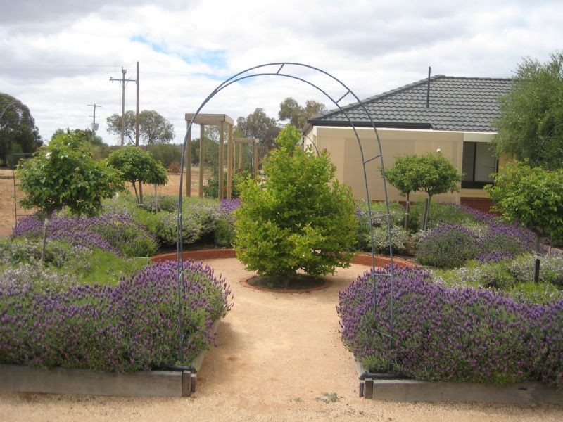 19 Cobb & Co Way,Riverbend Estate, Gol Gol NSW 2738