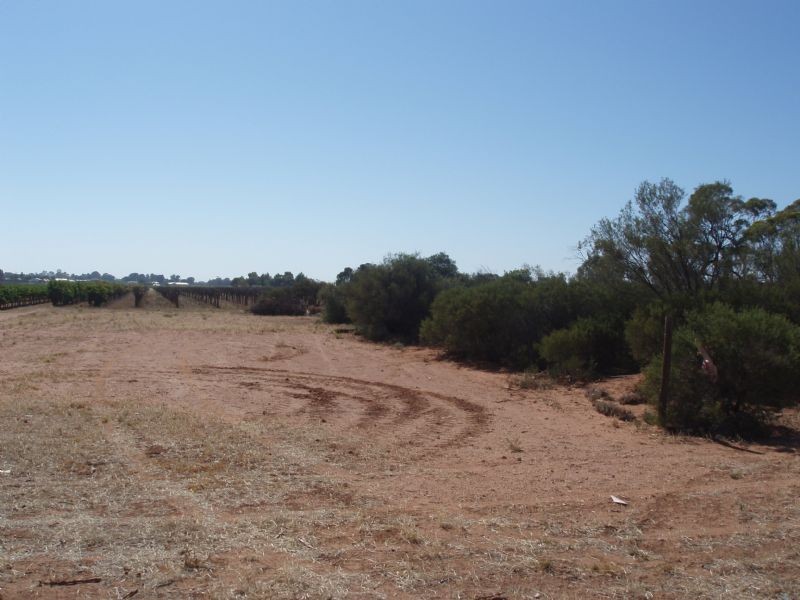 Lot 1  Dairtnunk Avenue, Irymple VIC 3498