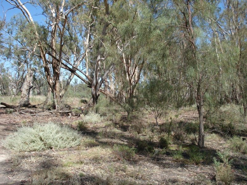 0 Yipperoo Williamsville Road, Curlwaa NSW 2648