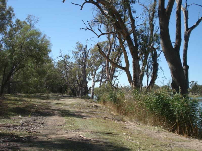 0 Yipperoo Williamsville Road, Curlwaa NSW 2648