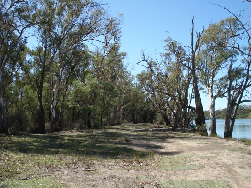 0 Yipperoo Williamsville Road, Curlwaa NSW 2648