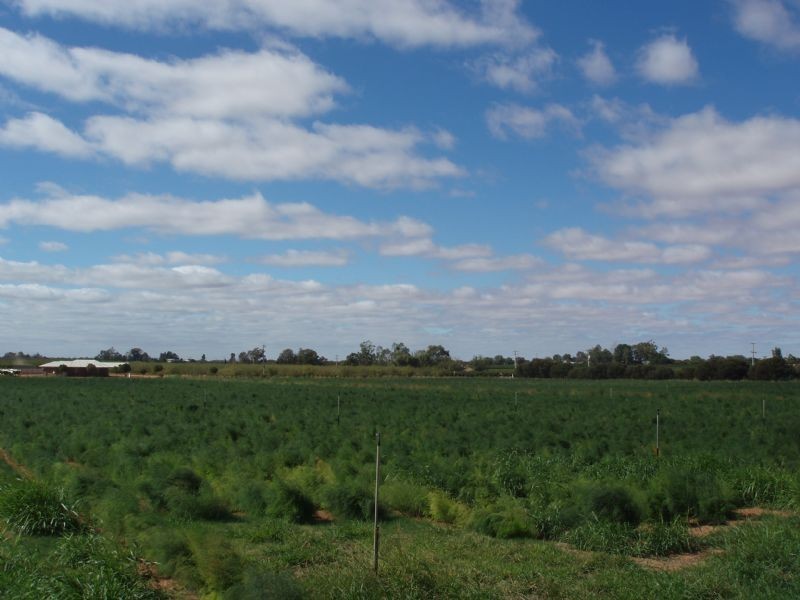 77 Hakea Street, Red Cliffs VIC 3496