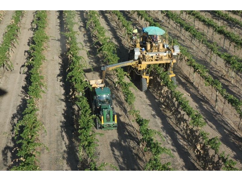 Cnr Cowanna & Yelta, Merbein VIC 3505