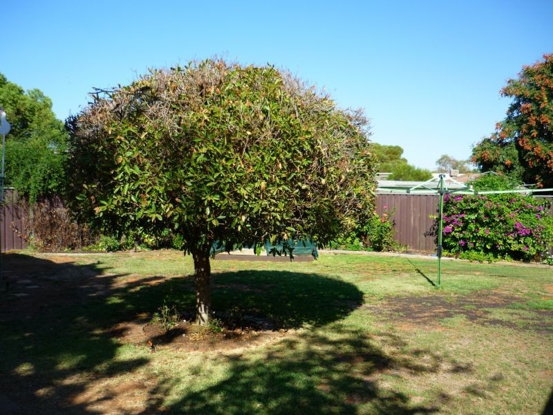 19 Washington Drive, Mildura VIC 3500