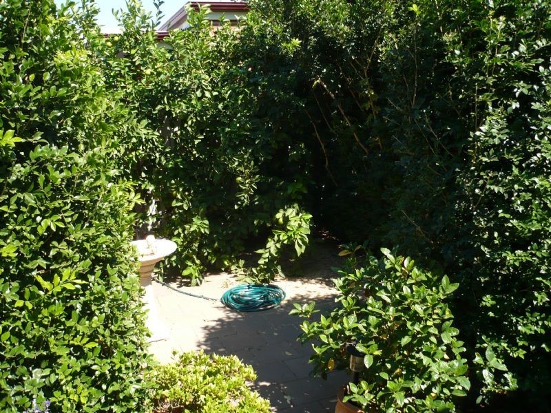 19 Burnside Way, Mildura VIC 3500