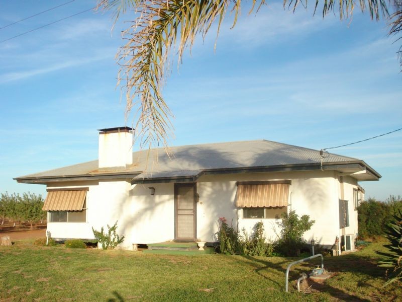 20 Leach Road, Red Cliffs VIC 3496