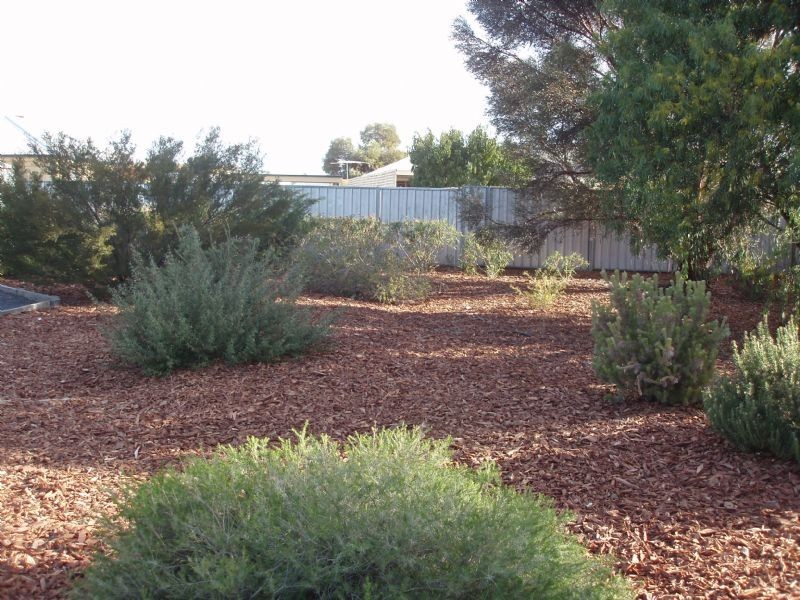 31 Johns Street, Mildura VIC 3500