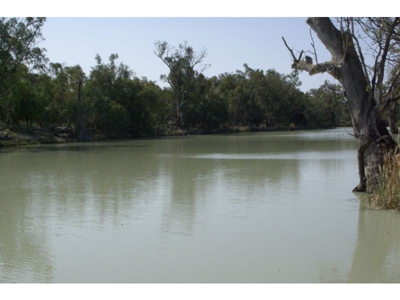 Lot 4 Tapio Pooncarie Rd, Wentworth NSW 2648