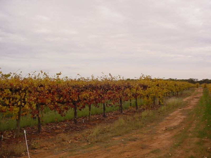 Block 653b Boomerang Avenue, Cardross VIC 3496