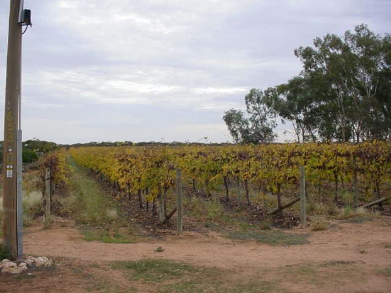 Block 653b Boomerang Avenue, Cardross VIC 3496