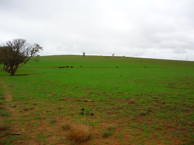 4473 Hattah Road, Robinvale VIC 3549