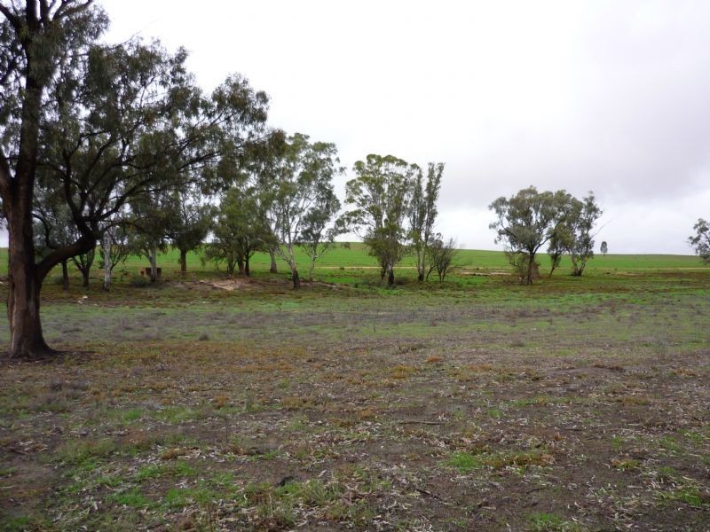 4473 Hattah Road, Robinvale VIC 3549