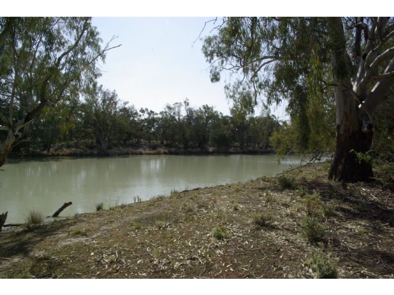 Lot 6 Tapio River front Pooncarie Road, Wentworth NSW 2648