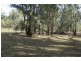 Lot 6 Tapio River front Pooncarie Road, Wentworth NSW 2648